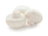 Mushroom White Button (Oman)